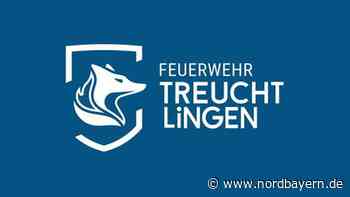 Fuchs und Feuer: Treuchtlinger Feuerwehr hat jetzt ein neues Logo - Nordbayern.de