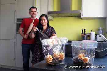 Cindy en Chris verwennen Hemiksem met klappertaart en ramboetankoekjes