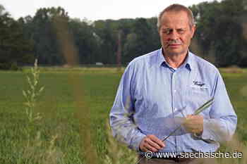 Riesa: Chefwechsel bei Riesaer FDP - Sächsische.de