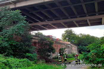 Riesa: Feuer auch am Elberadweg in Riesa - Sächsische.de