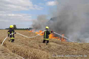 Riesa: Feldbrand am Elberadweg - Sächsische.de