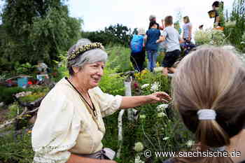 Riesa: Gartensparte wird Grünes Klassenzimmmer - Sächsische.de