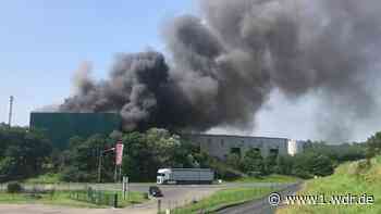 Große Rauchsäule über Erftstadt: Brand bei Remondis