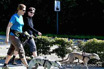 32ste editie Zennetochten: wandelclub De Slak verwacht zondag duizend stappers