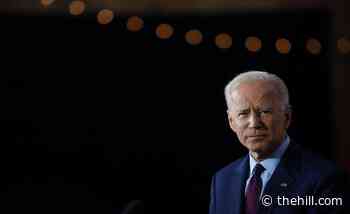 Biden favorability at 52 percent in new poll