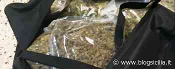 Traffico internazionale di droga, “fu scoperto con 90 kg di erba”, condannato - BlogSicilia.it