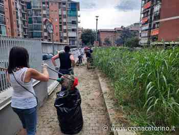 Erba alta a Santa Rita intervengono residenti e Torino Tricolore - Notizie Torino - Cronaca Torino