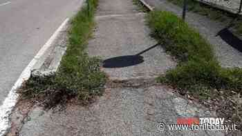 Erba nella pista pista ciclabile - ForlìToday