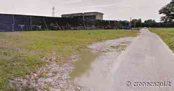 Operaio taglia l’erba sul canale, cade in acqua e perde la vita - Cronaca Qui