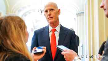 Republicans call for criminal tribunal for human rights abuses in Cuba