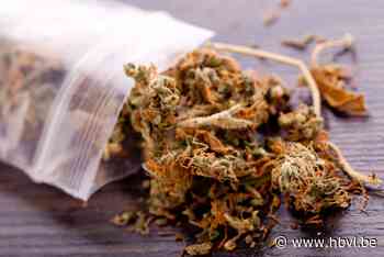 Beringse dealer (23) hervat na celstraf drugshandel: “Het leven van uw kleine begint al knap” - Het Belang van Limburg