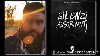 Ardea, Marzio Pellegrini e la sua ultima opera: “Silenzi assordanti” - MeridianaNotizie