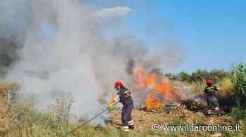 Incendio ad Ardea, a fuoco cumuli di immondizia e sterpaglie in via dei Colli Marini - Il Faro online