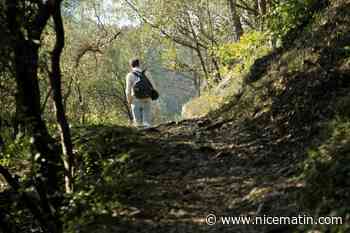 Site archéologique, faune et flore, plantes invasives... 13 balades pour (re)découvrir l'agglo de Sophia Antipolis