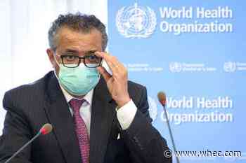 The Latest: WHO: 3.4M global virus cases last week, up 12%