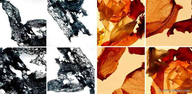 Birmingham City University spotlights 12 creative partnership projects