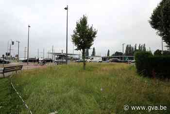 Natuurlijk Boechout werkt aan de biodiversiteit (Boechout) - Gazet van Antwerpen