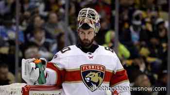 AP sources: Larsson, Driedger to Kraken in expansion draft - Lethbridge News Now