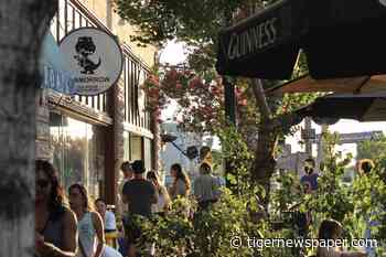 The 2021 Arts Crawl: puppets, painters, and parrots - Tiger Newspaper