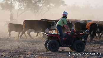 How a Reconciliation Action Plan saved an Aussie business $1 million