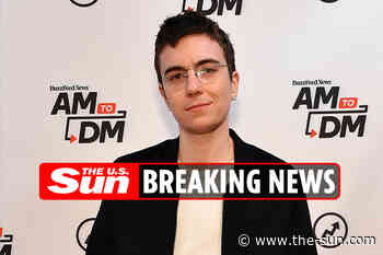 Who is Lena Dunham’s sibling Cyrus Grace?... - The US Sun