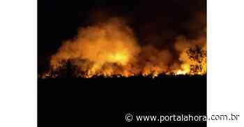 Incêndio na área da ZPE de Imbituba na tarde desta segunda-feira pode ter sido criminoso - Portal AHora
