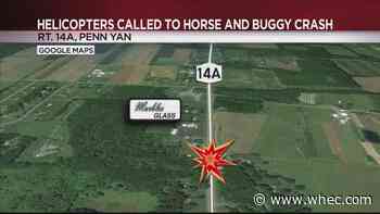 2 flown to hospital after horse and buggy crash in Yates County