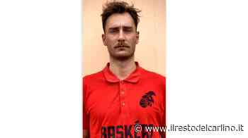 Baskérs, ecco l'ala-pivot Bracci - il Resto del Carlino