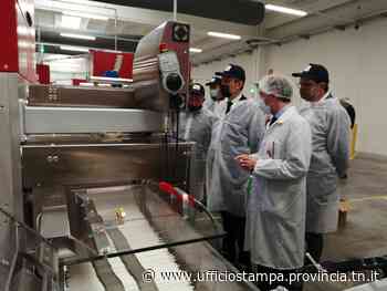 Ad Ala si producono cannucce di carta sostenibili - Ufficio Stampa