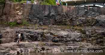 Are the drought's effects on Gooseberry Falls a sign of bigger problems for North Shore waterways?
