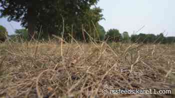 MN Drought Task Force to convene for first time in nearly a decade