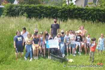 Imog beloont scholen die opruimen - Het Nieuwsblad