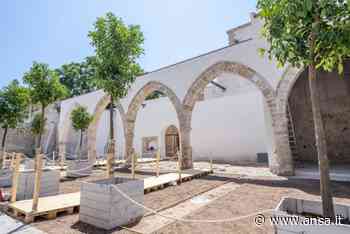 Archeologia: rinasce a Palermo il giardino dei Chiaramonte - Agenzia ANSA