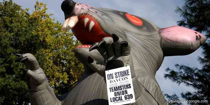 Giant inflatable rats used by labor unions are constitutionally protected free speech, labor board rules