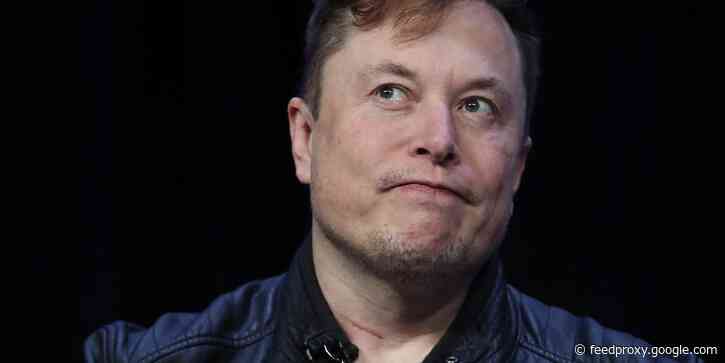 Elon Musk says Tesla's caused him two-thirds of the personal and professional pain he's ever felt
