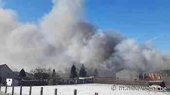 Zware brand in houtzagerij in Aalter: vuur onder controle - Het Nieuwsblad