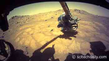 Signs of Martian Life? NASA’s Mars Perseverance Rover Begins the Hunt!