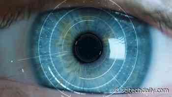 How the Visual System Shows Us a More Persistent World