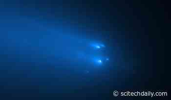 Lucky Encounter: Solar Orbiter Spacecraft Flies Through the Tail of a Disintegrated Comet