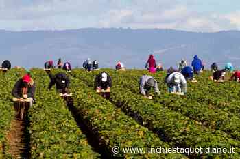 Caporalato, progetto coinvolge istituti superiori di Latina, Terracina, Fondi, Formia e Sabaudia - L'Inchiesta Quotidiano OnLine
