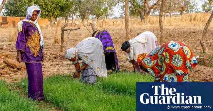 Offering aid without development is costing lives in the global south | Letter