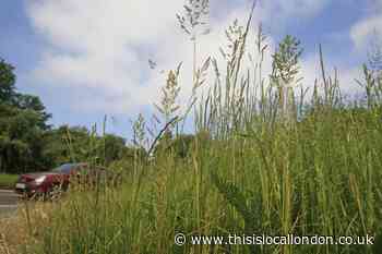 North Weald: "Atrocious" grass cutting to be taken up by parish council