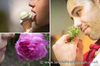 Tips to regain your sense of taste and smell after Covid