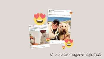 Soziale Medien: Wenn Dax-Chefs posten, twittern - und irren