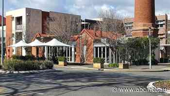 Owner of restaurant flagged by SA Health as a 'super spreader' site says staff have faced testing delays