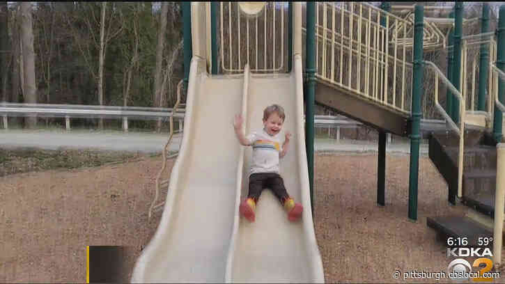 Battling Boredom: Keeping Your Kids Entertained And Having Fun In The Dog Days Of Summer