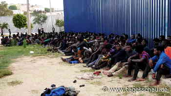 Spanische Exklave Melilla: 238 Migranten überwinden Grenzzaun