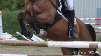Reit-Talente des RV Ganderkesee siegen in Rastede - noz.de - Neue Osnabrücker Zeitung