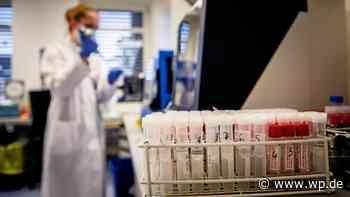 Corona Siegen und Umland: 7-Tage-Inzidenz verharrt bei 12,3 - WP News