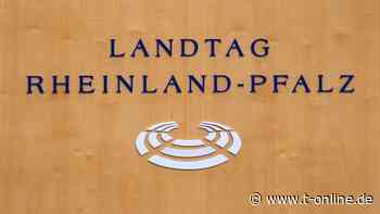 Landtagsausschüsse beraten über Katastrophen-Management - t-online.de